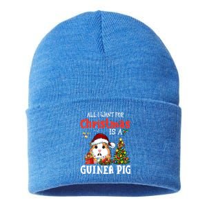 Cute Guinea Pig Christmas All I Want For Xmas Guinea Gift Sustainable Knit Beanie