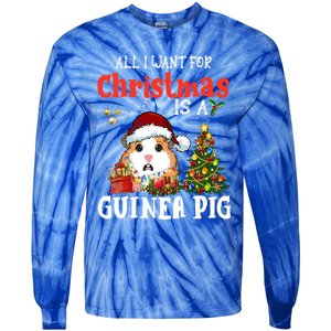 Cute Guinea Pig Christmas All I Want For Xmas Guinea Gift Tie-Dye Long Sleeve Shirt