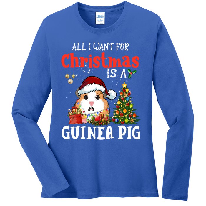 Cute Guinea Pig Christmas All I Want For Xmas Guinea Gift Ladies Long Sleeve Shirt