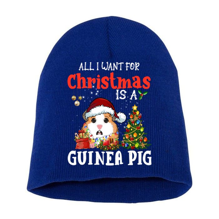 Cute Guinea Pig Christmas All I Want For Xmas Guinea Gift Short Acrylic Beanie