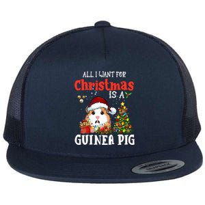 Cute Guinea Pig Christmas All I Want For Xmas Guinea Gift Flat Bill Trucker Hat