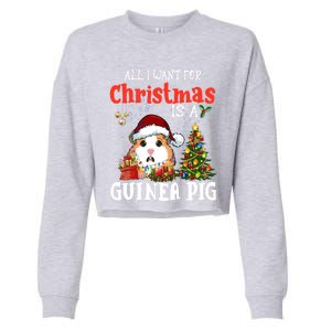 Cute Guinea Pig Christmas All I Want For Xmas Guinea Gift Cropped Pullover Crew