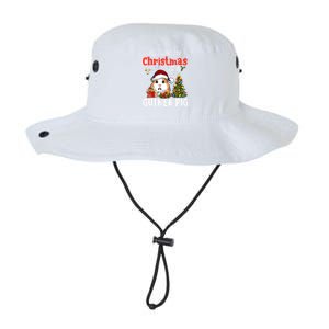 Cute Guinea Pig Christmas All I Want For Xmas Guinea Gift Legacy Cool Fit Booney Bucket Hat