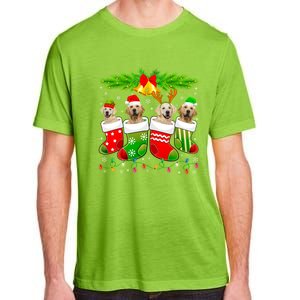 Cute Golden Retriever Dog In Sock Christmas Santa Xmas Dog Gift Adult ChromaSoft Performance T-Shirt