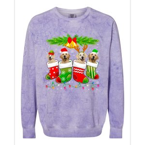 Cute Golden Retriever Dog In Sock Christmas Santa Xmas Dog Gift Colorblast Crewneck Sweatshirt