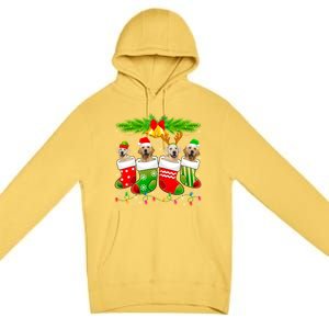 Cute Golden Retriever Dog In Sock Christmas Santa Xmas Dog Gift Premium Pullover Hoodie