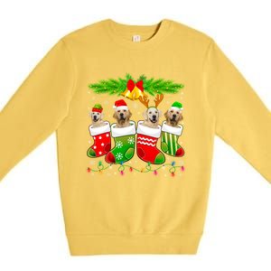 Cute Golden Retriever Dog In Sock Christmas Santa Xmas Dog Gift Premium Crewneck Sweatshirt