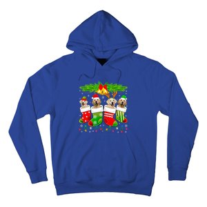 Cute Golden Retriever Dog In Sock Christmas Santa Xmas Dog Gift Hoodie