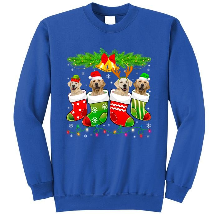 Cute Golden Retriever Dog In Sock Christmas Santa Xmas Dog Gift Sweatshirt