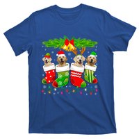 Cute Golden Retriever Dog In Sock Christmas Santa Xmas Dog Gift T-Shirt