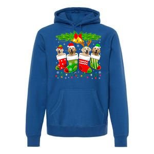 Cute Golden Retriever Dog In Sock Christmas Santa Xmas Dog Gift Premium Hoodie