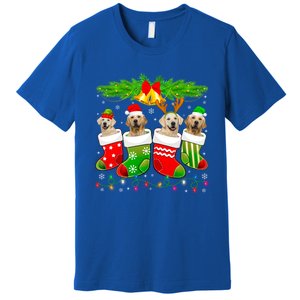 Cute Golden Retriever Dog In Sock Christmas Santa Xmas Dog Gift Premium T-Shirt