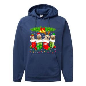 Cute Golden Retriever Dog In Sock Christmas Santa Xmas Dog Gift Performance Fleece Hoodie