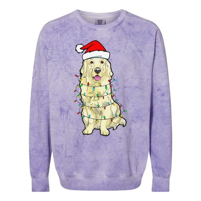 Cream Golden Retriever Dog Merry Xmas Christmas Lights Colorblast Crewneck Sweatshirt