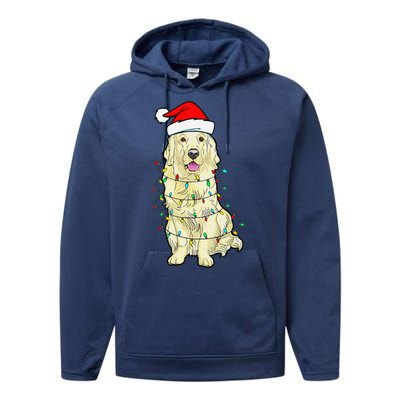 Cream Golden Retriever Dog Merry Xmas Christmas Lights Performance Fleece Hoodie