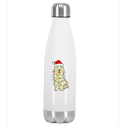 Cream Golden Retriever Dog Merry Xmas Christmas Lights Stainless Steel Insulated Water Bottle