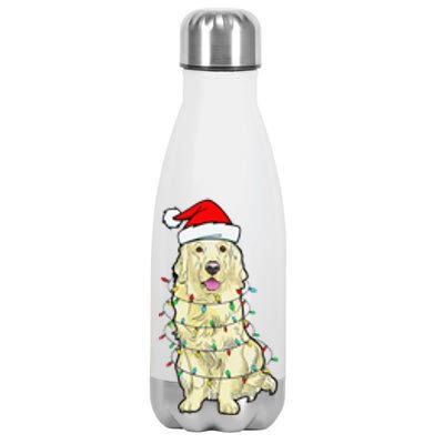 Cream Golden Retriever Dog Merry Xmas Christmas Lights Stainless Steel Insulated Water Bottle