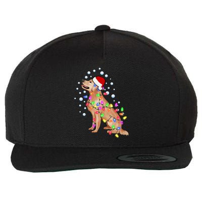 Cute Golden Retriever Christmas Light Santa Dog Puppy Lover Cute Gift Wool Snapback Cap