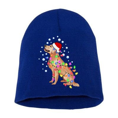 Cute Golden Retriever Christmas Light Santa Dog Puppy Lover Cute Gift Short Acrylic Beanie