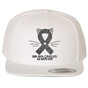 Cat Gray Ribbon Brain Cancer Awareness Warrior Cat Lover I Wear Gray Wool Snapback Cap