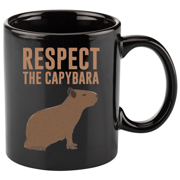 Capybara Gifts Respect The Capybara Cute Animal 11oz C Handle Ceramic Mug