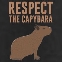 Capybara Gifts Respect The Capybara Cute Animal 11oz C Handle Ceramic Mug