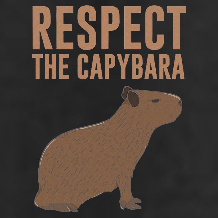 Capybara Gifts Respect The Capybara Cute Animal 11oz C Handle Ceramic Mug