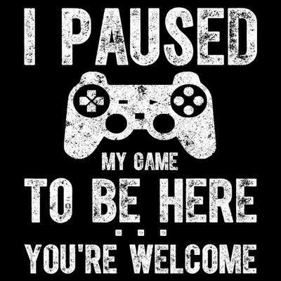 Cute Gamer Shirt I Paused My Game To Be Here You're Welcome TShirt T-Shirt