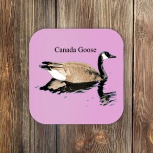 Canada Goose Swimming Gift Waterfowl Lover Coaster