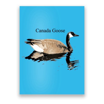 Canada Goose Swimming Gift Waterfowl Lover Poster