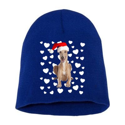 Christmas Greyhound Santa Hat Holidays Dog Mom Dad Xmas Cute Gift Short Acrylic Beanie
