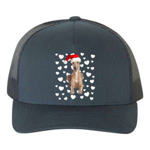 Christmas Greyhound Santa Hat Holidays Dog Mom Dad Xmas Cute Gift Yupoong Adult 5-Panel Trucker Hat