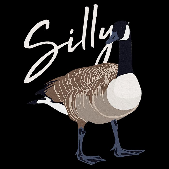 Canadian Goose Silly Goose Funny Cute Bird Hunter Tall T-Shirt