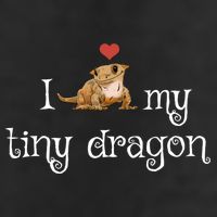 Crested Gecko Tiny Dragon Gecko Lover Cute Crestie Lizard Gift Hat