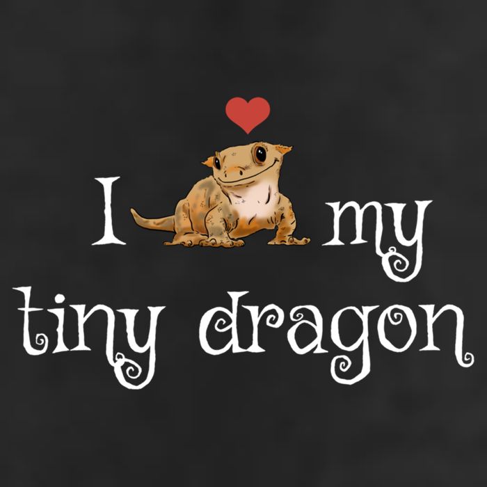 Crested Gecko Tiny Dragon Gecko Lover Cute Crestie Lizard Gift Hat