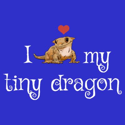 Crested Gecko Tiny Dragon Gecko Lover Cute Crestie Lizard Gift T-Shirt