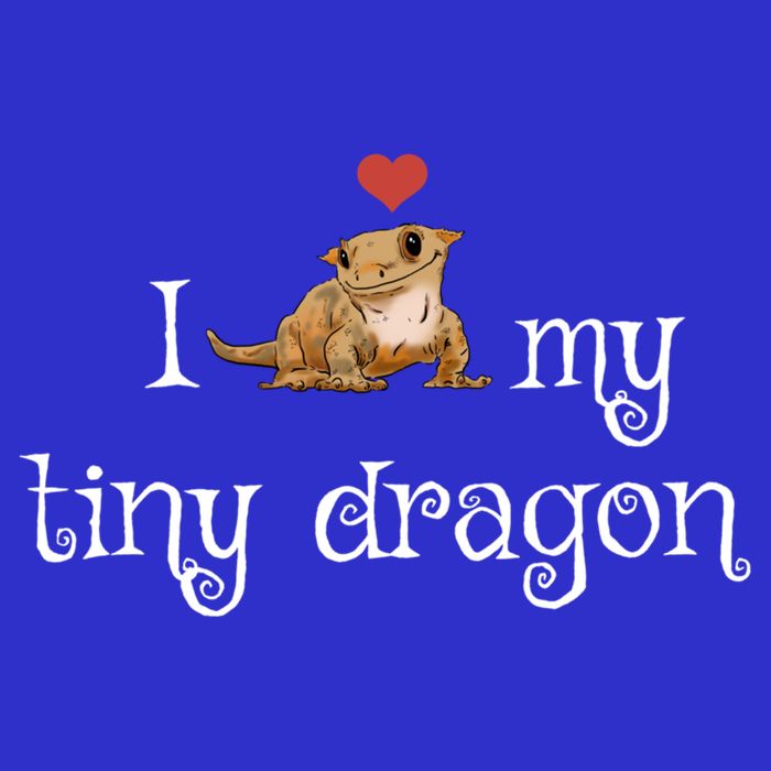 Crested Gecko Tiny Dragon Gecko Lover Cute Crestie Lizard Gift Visor