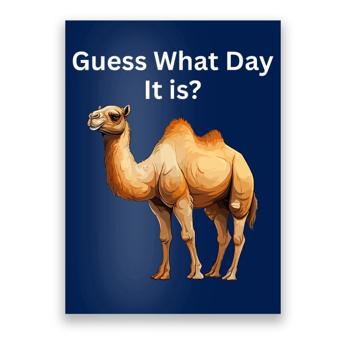 Camel Guess What Day It Is Wednesday Hump Day Camel  Poster