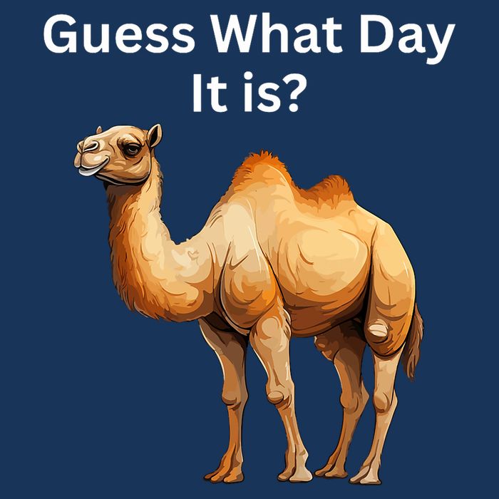 Camel Guess What Day It Is Wednesday Hump Day Camel  Poster