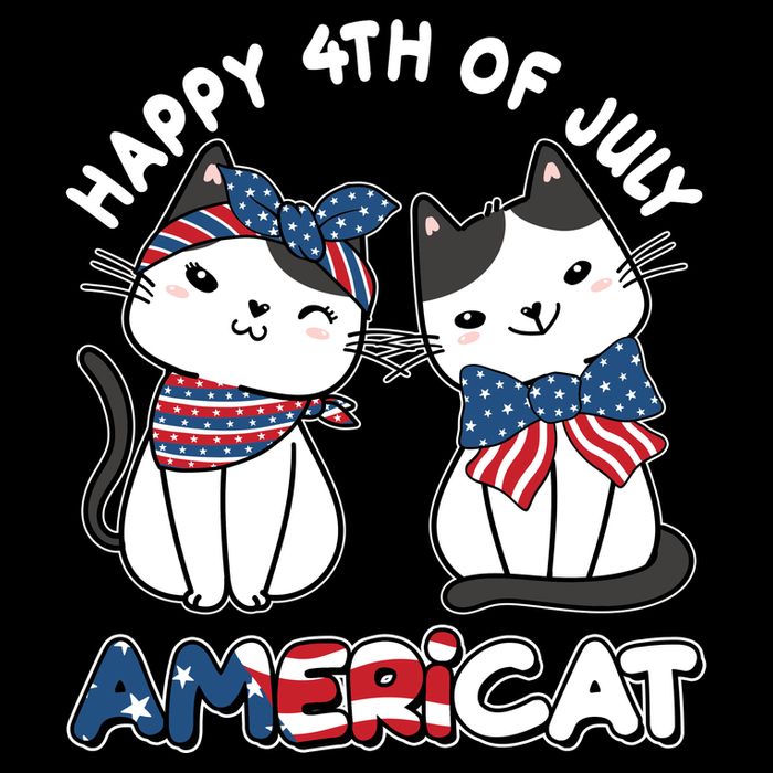 Cute Happy 4th Of July Americat Button