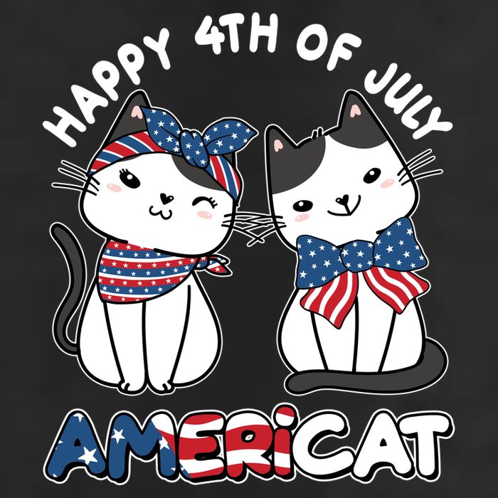 Cute Happy 4th Of July Americat Adult Drive Performance Visor