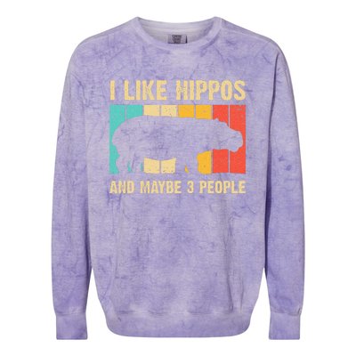 Cool Hippo Art Hippopotamus Hippo Lover Colorblast Crewneck Sweatshirt