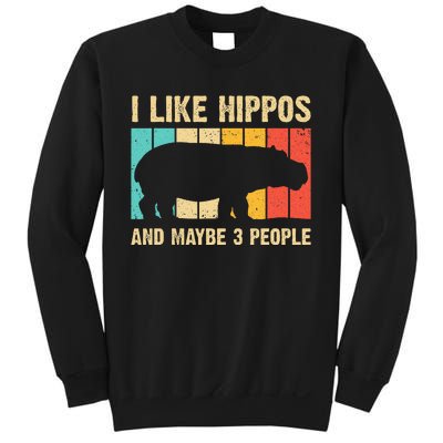 Cool Hippo Art Hippopotamus Hippo Lover Sweatshirt