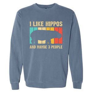 Cool Hippo Art Hippopotamus Hippo Lover Garment-Dyed Sweatshirt