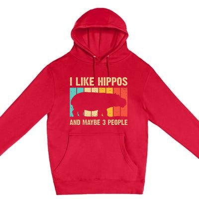 Cool Hippo Art Hippopotamus Hippo Lover Premium Pullover Hoodie