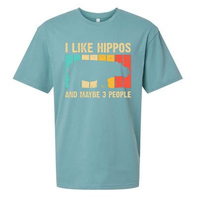 Cool Hippo Art Hippopotamus Hippo Lover Sueded Cloud Jersey T-Shirt