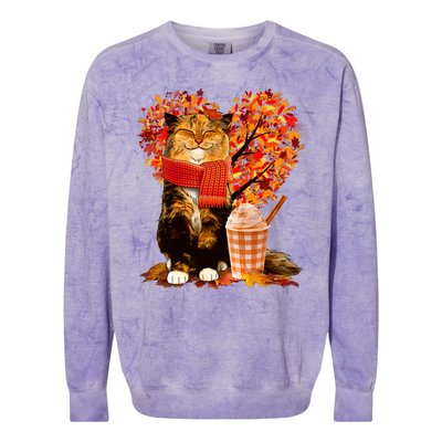 Cute Happy Autumn Cat With Pumpkin Spice Drink Fall Lover Colorblast Crewneck Sweatshirt