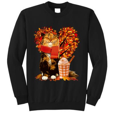 Cute Happy Autumn Cat With Pumpkin Spice Drink Fall Lover Sweatshirt