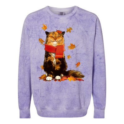 Cute Happy Autumn Cat Fall Season Lover Colorblast Crewneck Sweatshirt