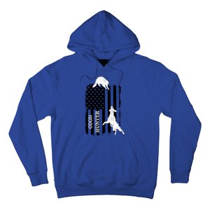 Coon Hunting American Flag Dog Hoodie